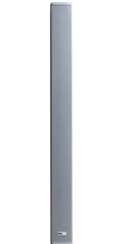 Biamp Desono COLS101 Wired 30 W Two-Way Loudspeaker White | 911.1587.900 Speaker BIAMP