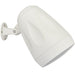 Cloud Electronics 6.5" Coaxial CVS-P42T Pendant Speaker Speaker Cloud Electronics White