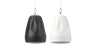 Cloud Electronics Contractor CVS-P62TB/W Pendant Speaker
