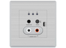 BluStream Bluetooth & Analogue Audio Dante® Wall Plate | DA11ABL-WP-EU