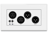 BluStream XLR Dante® Audio Wall Plate | DA22XLR-WP-EU-V2