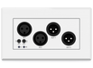 BluStream XLR Dante® Audio Wall Plate | DA22XLR-WP-EU-V2 BluStream Wall Plate BluStream