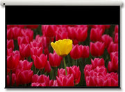 Optoma DE-9092EGA Electric Projector Screen - 16:9 Ratio 203 x 114.5cm Projector Accessories Optoma