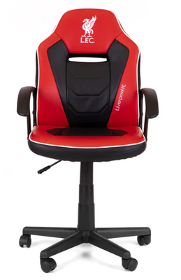 Province5 DFGCLFC Office/Computer Chair Padded Seat Padded backrest DFGCLFC Gaming Chair Province 5