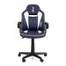 Province5 DFGCTHS Office/Computer Chair Padded Seat Padded Backrest