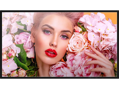 Vivitek DK753 NovoDisplay 75" 4K Digital Signage Display Vivitek Digital Signage Display Vivitek