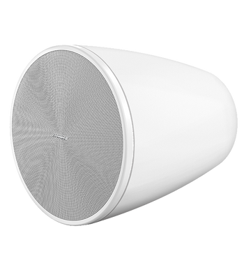 BOSE DesignMax DM6PE Loudspeakers - White BOSE Speaker BOSE