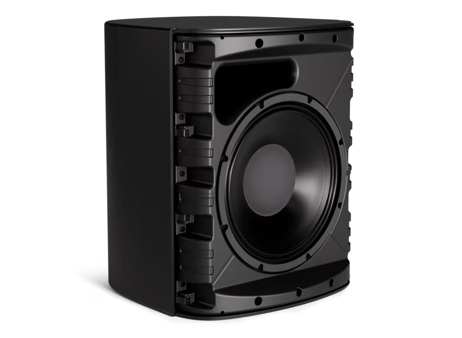 Bose DesignMax DM12SE 12-Inch Coaxial Surface-Mount Loudspeaker - Black Loudspeakers BOSE