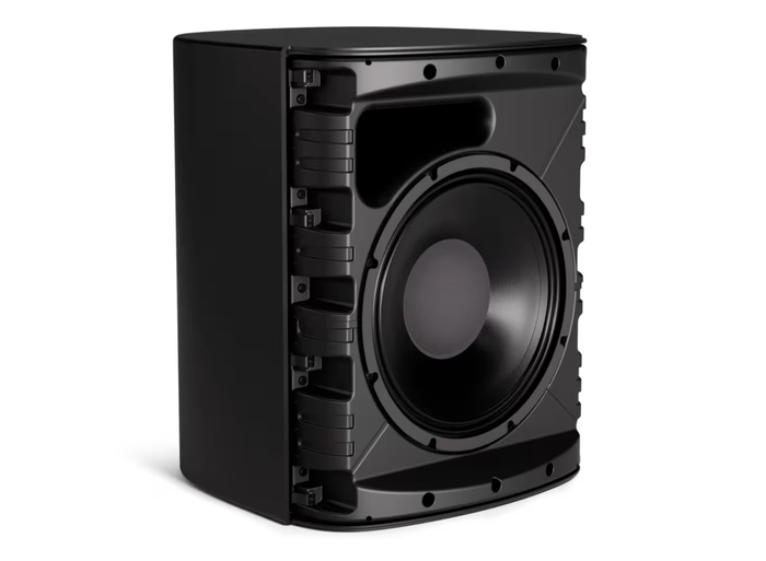 Bose DesignMax DM12SE 12-Inch Coaxial Surface-Mount Loudspeaker - Black Loudspeakers BOSE