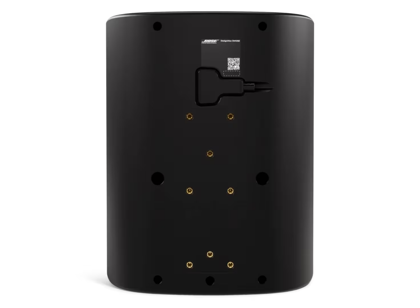 Bose DesignMax DM12SE 12-Inch Coaxial Surface-Mount Loudspeaker - Black Loudspeakers BOSE