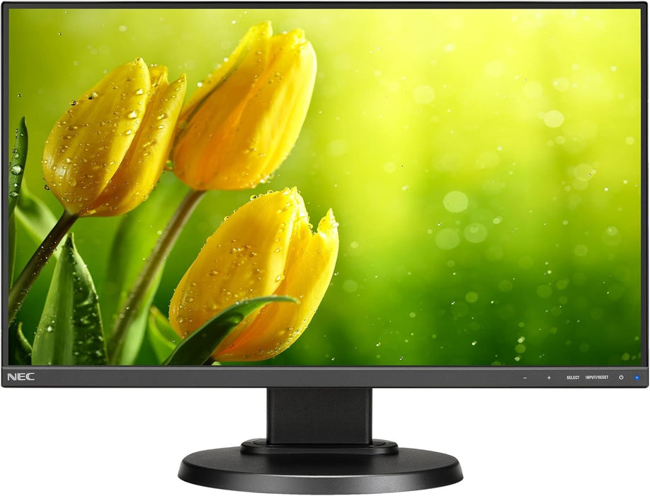 NEC MultiSync® E221N 22" Narrow Bezel Desktop Monitor with IPS Panel