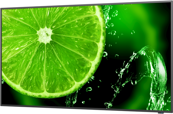 NEC MultiSync® E658 LCD 65" 4K Essential Large Format Display | 60005059 Digital Signage Display NEC