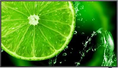 NEC MultiSync® E498 LCD 49" 4K Essential Large Format Display | 60005052 NEC Digital Signage NEC