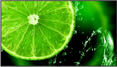 NEC MultiSync® E758 LCD 75" 4K Essential Large Format Display | 60005157 Large Format Display NEC