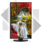 NEC MultiSync® 27" Full HD Business-Class Widescreen Desktop Monitor | EA272F BK Desktop Monitor NEC