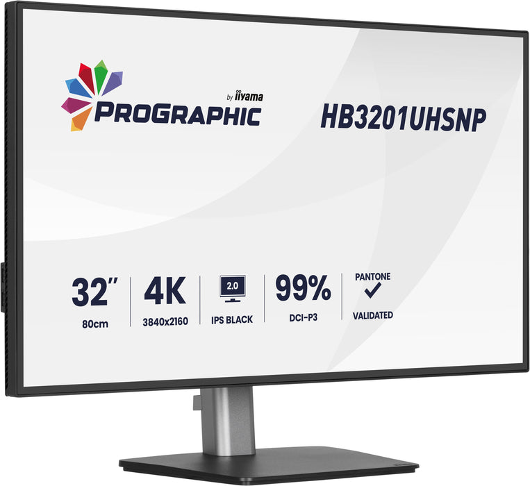 iiyama ProGraphic HB3201UHSNP-B1 31.5" 60Hz 4ms 4K Ultra HD Designer Monitor Desktop Monitor iiyama