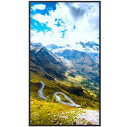 Hisense 49WF25E 49” Window Facing 2500 cd/m2 Ultra High Brightness Digital Signage Display High Brightness Digital Signage Hisense