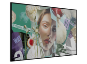 Hikvision DS-D6050UN-DL 65" 4K UHD Android 13 Digital Signage Display Digital Signage Display Hikvision