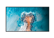 Hisense 43BM66AE 43” 4K UHD Digital Signage Display Digital Signage Display Hisense