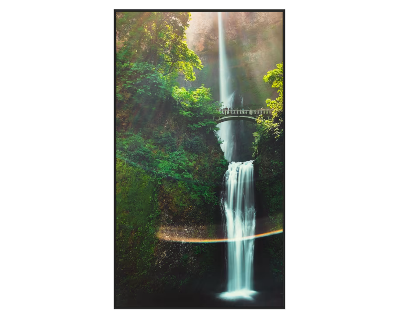 Hisense 55WH80F 55” 4K Ultra HD High Brightness - 4000cd/m2 Window Facing Display Digital Signage Display Hisense