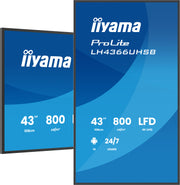 iiyama ProLite LH4366UHSB-B1AG 43" 4K UHD Professional Digital Signage Display Digital Signage Display iiyama