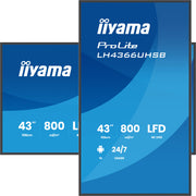 iiyama ProLite LH4366UHSB-B1AG 43" 4K UHD Professional Digital Signage Display Digital Signage Display iiyama