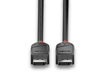 Lindy 1m DisplayPort 2.1 80Gbps Cable, Black Line | 36520 HDMI Cable Lindy