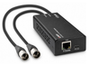Lindy 2ch Dante® to XLR Audio Decoder | 70619