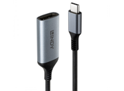 Lindy USB Type C to DisplayPort 8K60 Converter | 43426 Adapter / Converter Lindy
