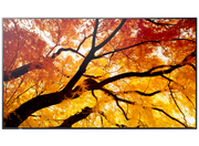 Sharp MultiSync® M862 LCD 86" 4K UHD Message Large Format Display Digital Signage Display NEC