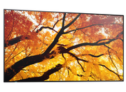 Sharp MultiSync® M862 LCD 86" 4K UHD Message Large Format Display Digital Signage Display NEC