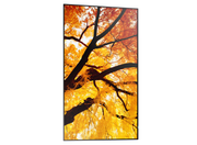 Sharp MultiSync® M862 LCD 86" 4K UHD Message Large Format Display Digital Signage Display NEC