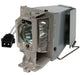 CoreParts Projector Lamp for NEC 4500 Hours, 195 Watt fit for NEC Projector V302X | ML12618 Projector Accessories CoreParts