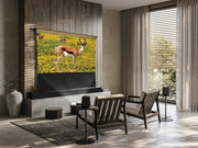 Multibrackets Le Screen 100" 16:9 Electric Floor Rising ALR UST RS232 – Black | 7350105218613 Motorized Floor Rising Screen Multibrackets