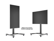 Multibrackets M 145 HD Single Black Mobile Floor Stand for 40"-80" Screens | 7350022736269 Floor Stand Multibrackets