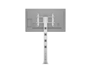 Multibrackets M 210 HD Single Silver Floor Mount Stand for 55"-80" Screens | 7350105212246 Floor Stand Multibrackets