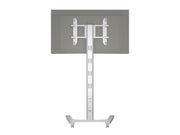 Multibrackets M 210 HD Single Silver Mobile Floor Stand for 55"-80" Screens | 7350073735341 Floor Stand Multibrackets