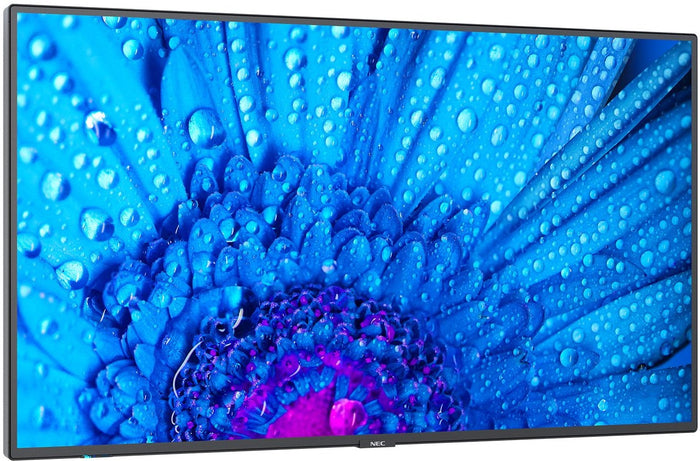 NEC MultiSync® M651 LCD 65" 4K Message Large Format Display | 60005061 Digital Signage Display NEC
