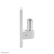 NeoMounts AWL75-450WH Wall Adapter Mounting Accessory NeoMounts