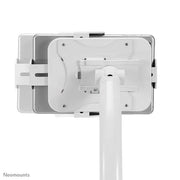 NeoMounts DS15-625WH1 Countertop Tablet Holder Tablet Mount NeoMounts