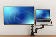 NeoMounts 17" - 27" Monitor/Laptop Desk Mount | DS20-425BL2 Table Stand NeoMounts