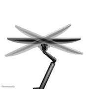 NeoMounts 17"-32" Dual Monitor Arm Desk Mount | DS70-810BL2 Monitor Arm Desk Mount NeoMounts
