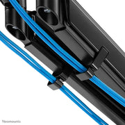 NeoMounts 17"-32" Dual Monitor Arm Desk Mount | DS70-810BL2 Monitor Arm Desk Mount NeoMounts