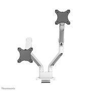 NeoMounts 17" - 35" Dual Monitor Arm Desk Mount | DS70S-950WH2 Monitor Arm Desk Mount NeoMounts