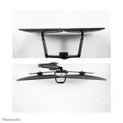 Neomounts 17"-32" Dual Monitor Arm Desk Mount | DS75-450BL2 Monitor Arm Desk Mount NeoMounts