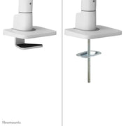 NeoMounts Full Motion Monitor Arm Desk Mount | DS75S-950WH2 Monitor Arm Desk Mount NeoMounts