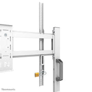NeoMounts 55" - 86" Height Adjustable Display Trolley | FL50-525WH1 Mobile Trolley NeoMounts