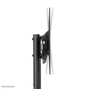Neomounts 37" - 70" Display Trolley | FL50-540BL1 Mobile Trolley NeoMounts