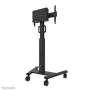 NeoMounts 37" - 75" Height Adjustable Display Trolley | FL50S-825BL1 Mobile Trolley NeoMounts