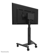 NeoMounts 37" - 75" Height Adjustable Display Trolley | FL50S-825BL1 Mobile Trolley NeoMounts